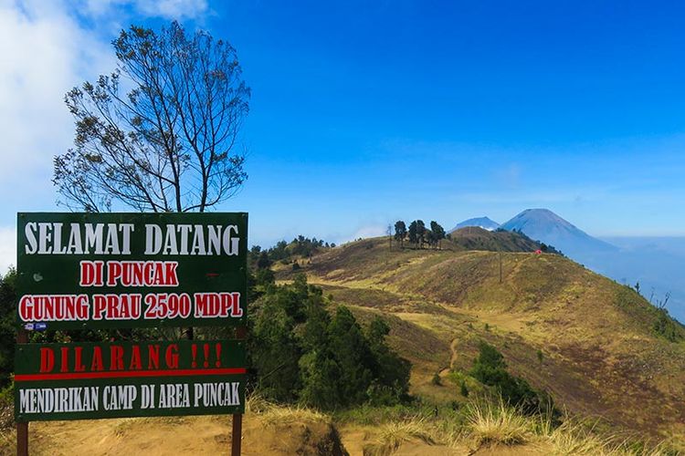 Wisata Gunung Prau: Sensasi Sunrise dengan Jalur Pendakian Mudah