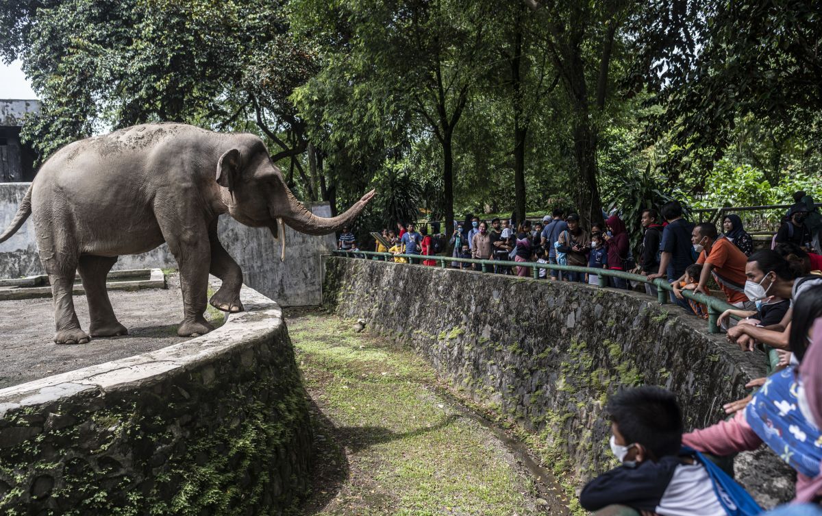 Membludak! Pengunjung Ragunan Tembus 119 Ribu Saat Libur Paskah 2026, Lampaui Target