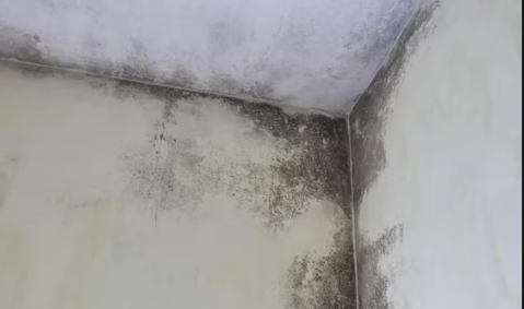 Cara Mengatasi Kamar Lembap Paling Ampuh, Trik Jitu Biar Kamar Bebas Bau Apek Dan Jamur Yang Wajib Kamu Coba