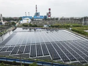 WALHI Desak Pemerintah Batalkan Rencana Pengolahan Sampah Menjadi Energi Listrik