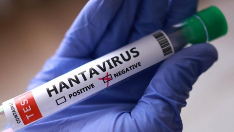 Kemenkes Ungkap Perbedaan Hantavirus di Indonesia dan Kasus MV Hondius