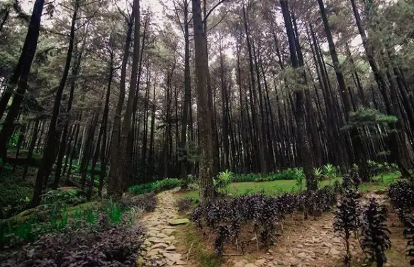 Bingung Long Weekend ke Mana? 4 Destinasi Seru Dekat Jakarta Ini Bisa Jadi Pilihan