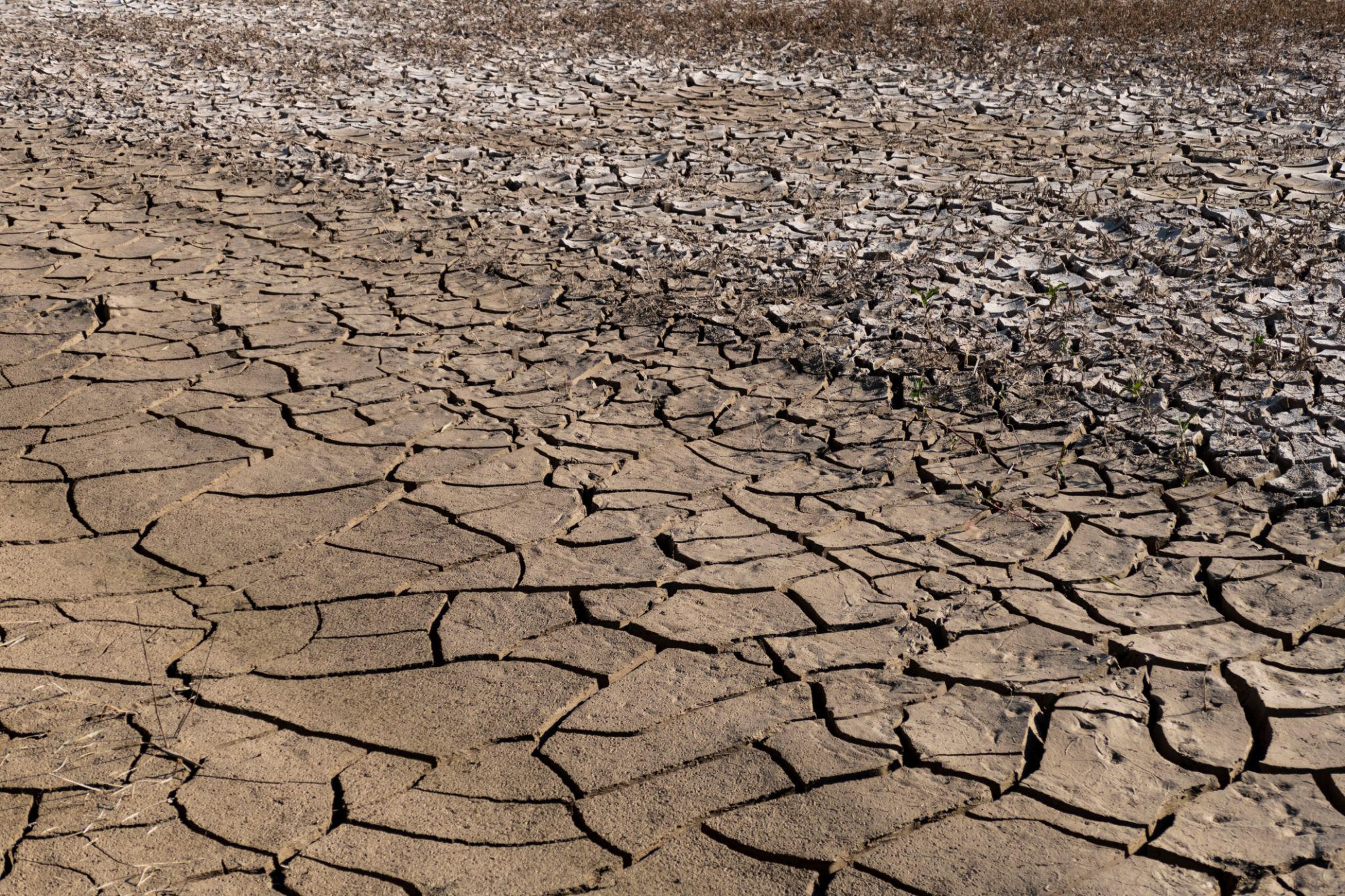 Super El Nino Disebut Bisa Sekuat 1877, Dunia Mulai Waspada Dampaknya
