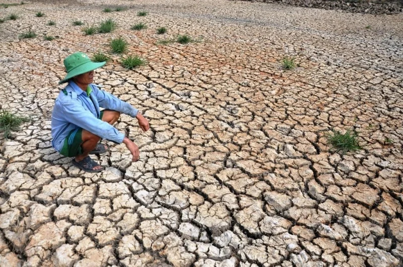 Super El Nino Makin Kuat, Wilayah Kepulauan Diminta Segera Diselamatkan