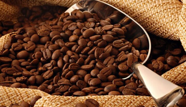10 Produsen Kopi Terbaik di Dunia Versi TasteAtlas 2026: Kopi Gayo Indonesia Sejajar dengan Geisha Panama