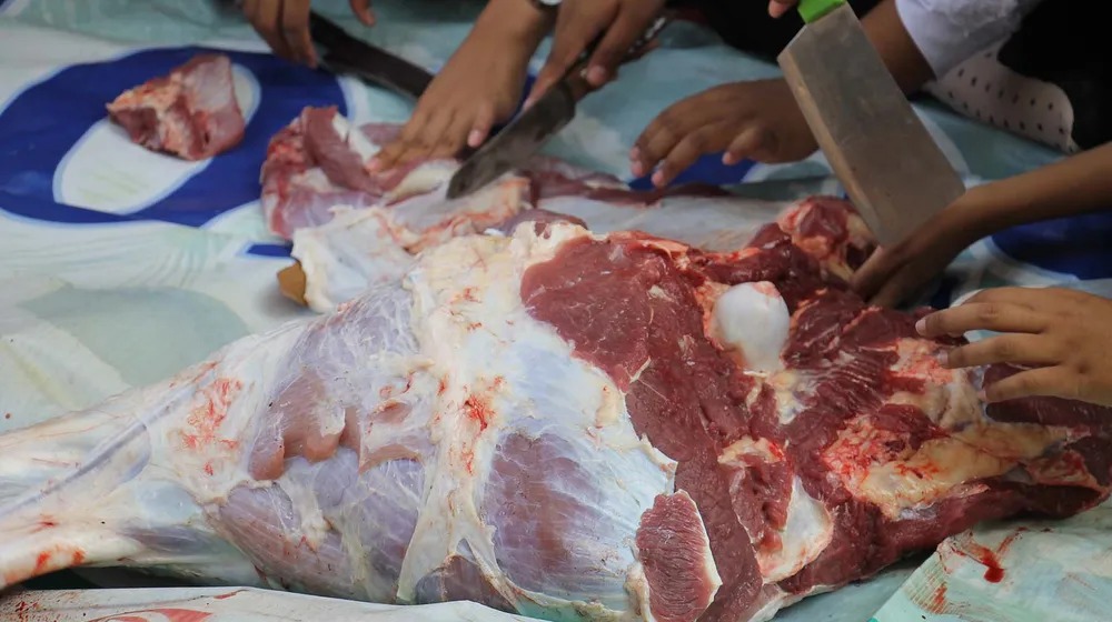 Daging Kurban Perlu Dicuci Dulu atau Tidak? Ini Cara Membersihkannya Menurut Ahli UGM
