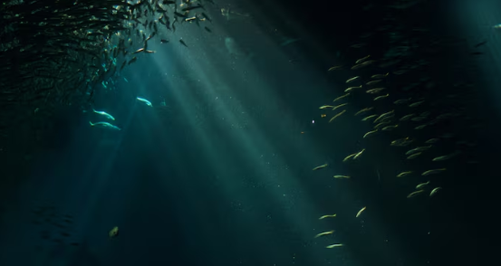 Fakta Menarik tentang Laut Dalam yang Masih Jarang Diketahui