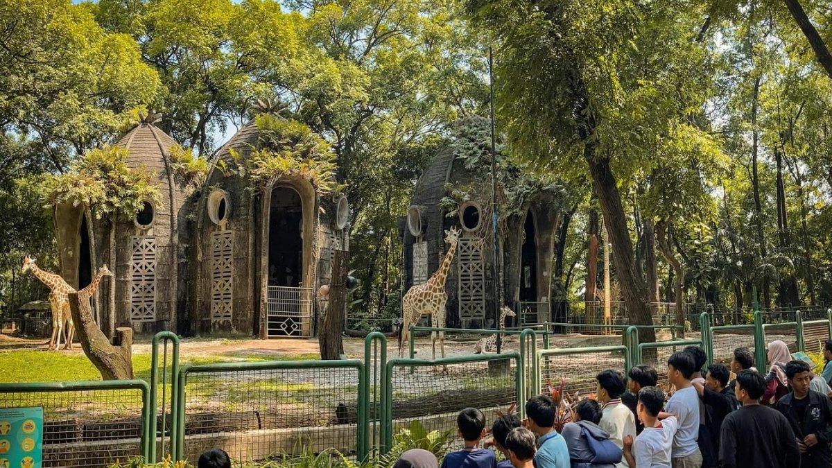 Spesial HUT Jakarta, Nikmati Transportasi Umum dan Tiket Masuk Ancol-Ragunan Gratis 27-28 Juni!