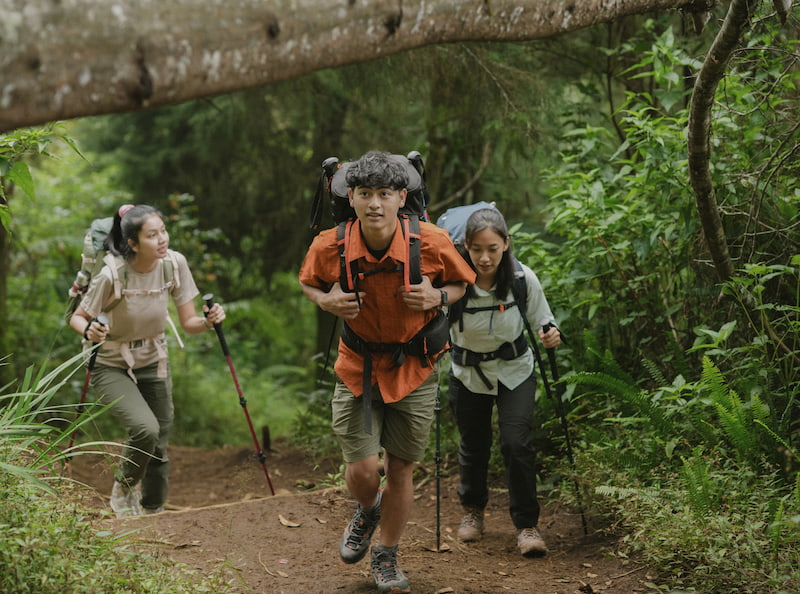 7 Tempat Trekking Dekat Jakarta yang Cocok untuk Akhir Pekan: Ada Jalur Curug hingga Puncak Gunung