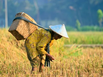 Aduh, Peryataan Presiden Petani Sudah Sejahatera Menuai Kecaman Para Akademisi