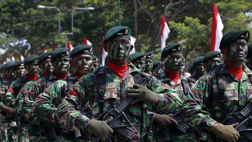 TNI Boleh Bantu Ketahanan Pangan, Tapi…