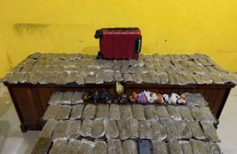 Polisi Tangkap Pengedar Ganja 5,4 Kg di Pelabuhan Sorong