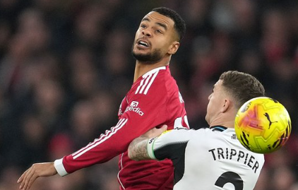 Cody Gakpo Makin Dekat ke Tottenham? Liverpool Siap Dengar Tawaran Besar