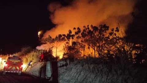 BMKG Ungkap El Nino Jadi Pemicu Karhutla dan Kabut Asap di Kalimantan