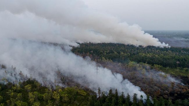 Karhutla Kalimantan Makin Mengkhawatirkan, Asap Ganggu Udara hingga Malaysia
