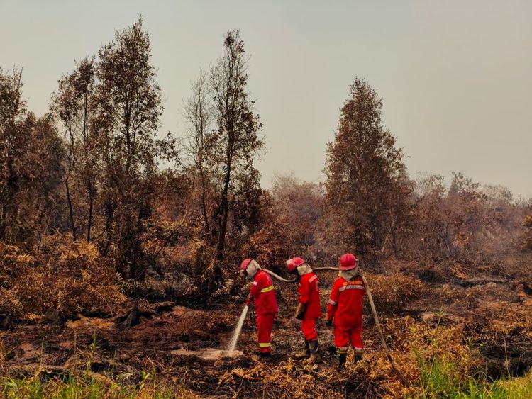 Kabut Asap Karhutla Makin Pekat, Penerbangan di Bandara Iskandar Pangkalan Bun Terganggu