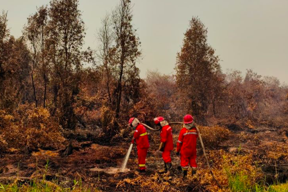 Karhutla Kalimantan Masih Mengancam, Pemerintah Genjot Modifikasi Cuaca dan Operasi Udara
