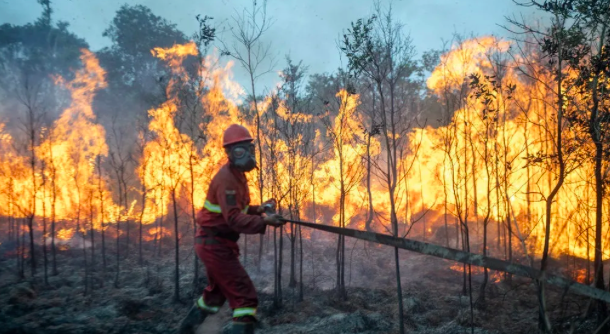 Polisi Ungkap Motif Karhutla: Lahan Sengaja Dibakar untuk Hemat Biaya Buka Kebun Sawit