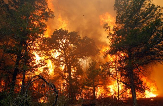 Fakta Karhutla di Indonesia 2026: Luas Lahan Terbakar, Daerah Terdampak, dan Sebaran Asap