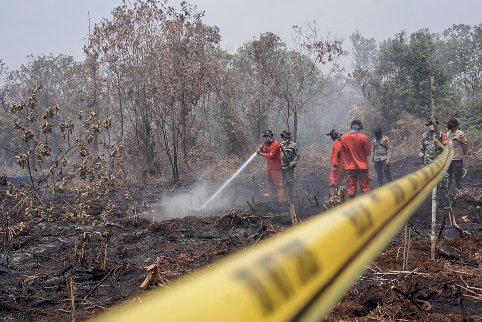 Karhutla Meluas di Sekitar IKN, Ratusan Kejadian Tercatat di Kaltim