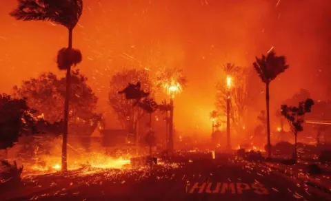 Kebakaran Lahan Muncul di Kulon Progo, Api Berkobar di Sekitar Bendungan Kamijoro