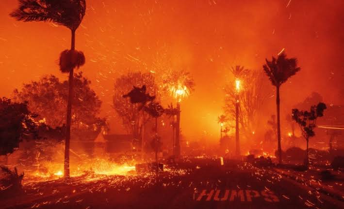 Kebakaran Lahan Muncul di Kulon Progo, Api Berkobar di Sekitar Bendungan Kamijoro