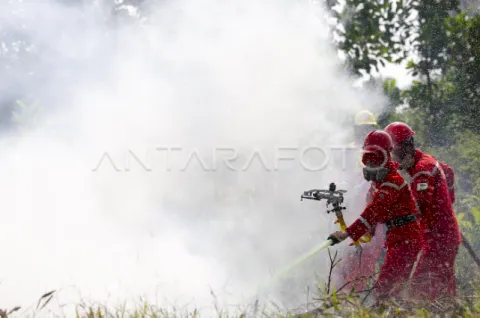 7 Mitos Asap Karhutla yang Masih Dipercaya, Padahal Bisa Bahayakan Kesehatan