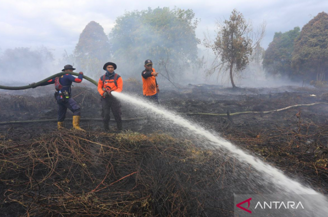 Kasus ISPA Melonjak akibat Karhutla, Kemenkes Perkuat Perlindungan Warga di 7 Provinsi