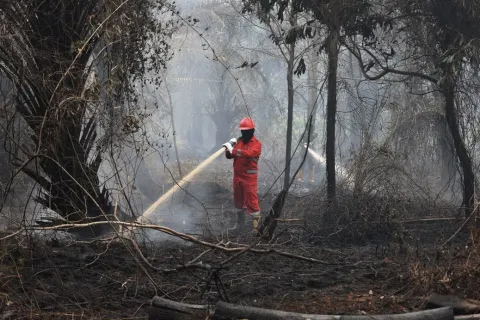 Kabut Asap Karhutla Selimuti Martapura, Jarak Pandang Cuma 1-4 Meter