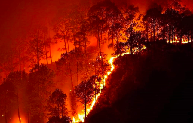 9 Kebakaran Terbesar dalam Sejarah Indonesia, Ada yang Hanguskan Jutaan Hektare Hutan