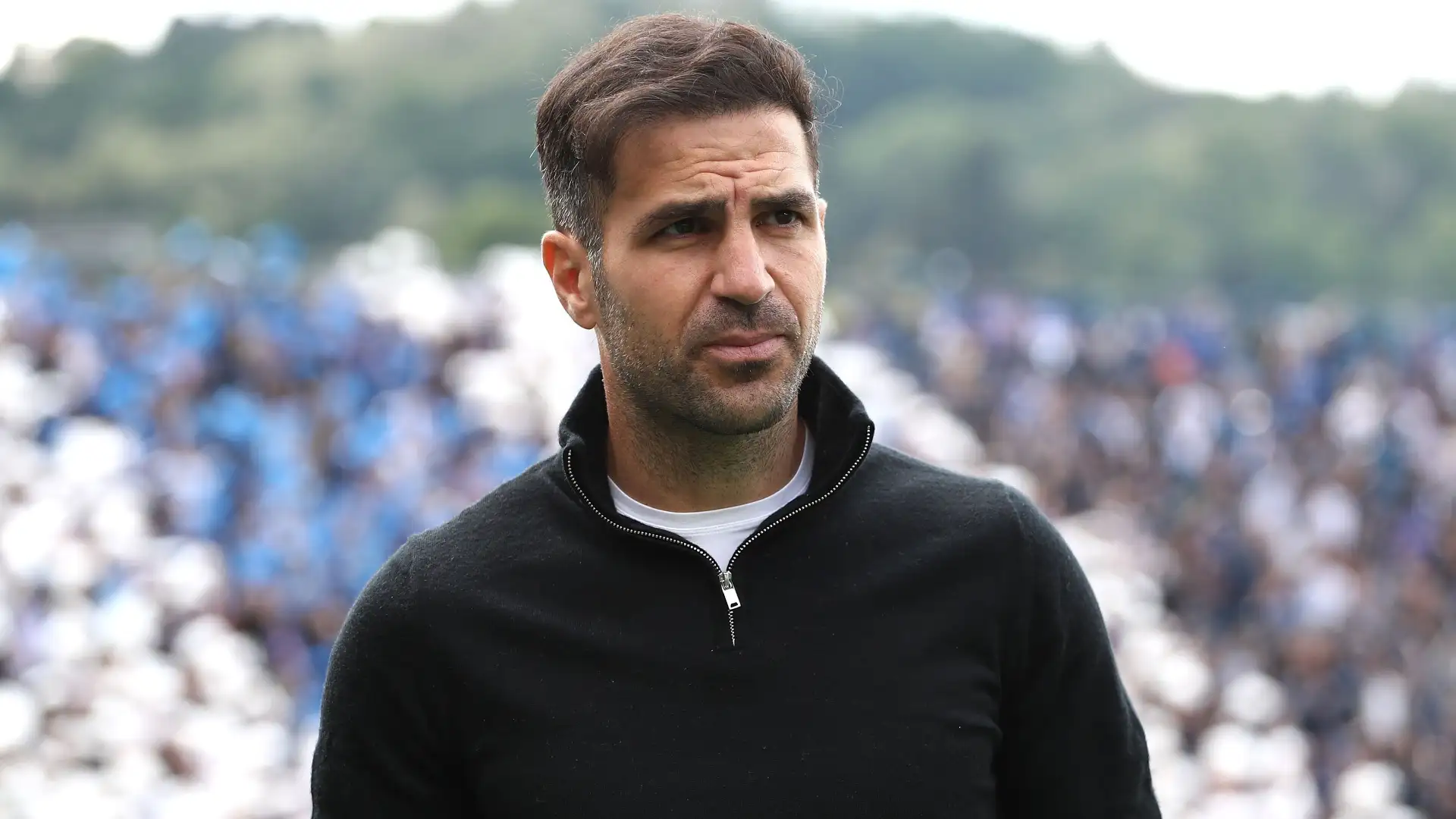 Cesc Fabregas Raih Gelar Pelatih Terbaik Serie A 2025-26 Usai Bawa Como ke Liga Champions