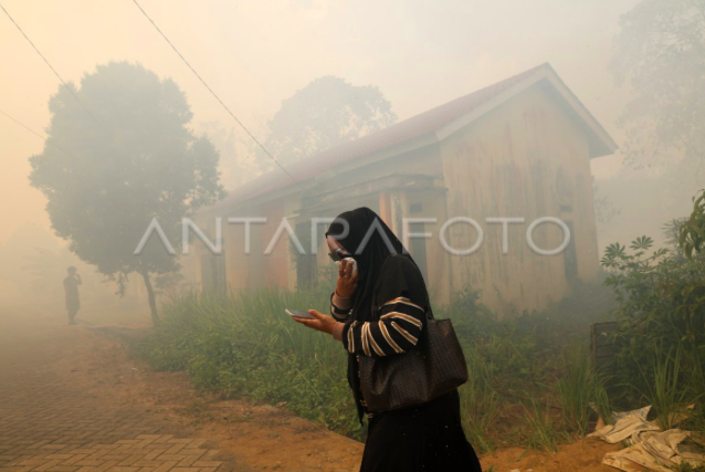 Karhutla Meluas ke 15 Kecamatan, Ketapang Naikkan Status Jadi Tanggap Darurat
