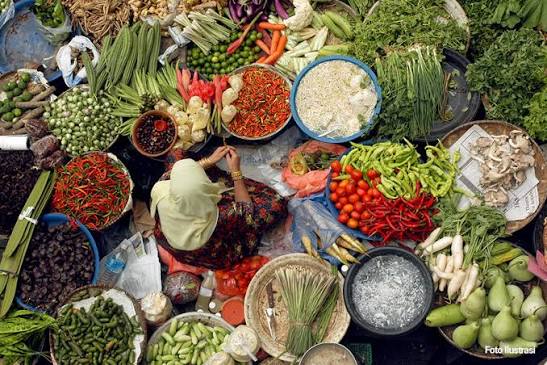 Indonesia Bisa Belajar dari Malaysia, Untuk Bisa Keluar dari Jebakan Negara Berpendapatan Menengah