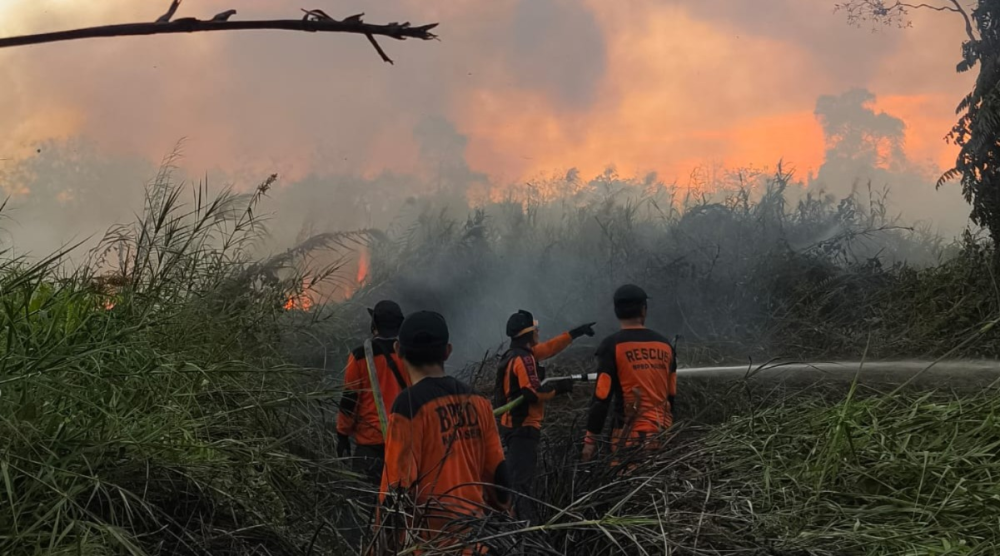 Kualitas Udara Samarinda Memburuk, Sekolah Terapkan PJJ akibat Kabut Asap Karhutla