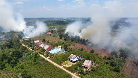 Data Terbaru CREA, 3.700 Jiwa Melayang di 15 Provinsi Akibat Karhutla dan Non Karhutla