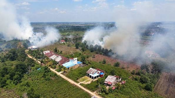 Data Terbaru CREA, 3.700 Jiwa Melayang di 15 Provinsi Akibat Karhutla dan Non Karhutla