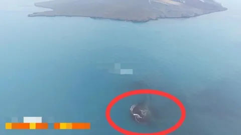 Dua Pulau Baru Muncul di Sekitar Anak Krakatau Usai Erupsi September