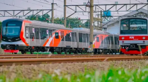 Batang Pohon Tumbang Halangi Jalur KRL, Rute Jakarta-Bogor Kini Kembali Normal