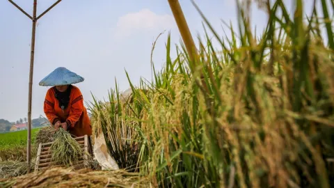 Indonesia harus Terus Memperkuat Ketahanan Pangan untuk Hadapi Krisis Global 