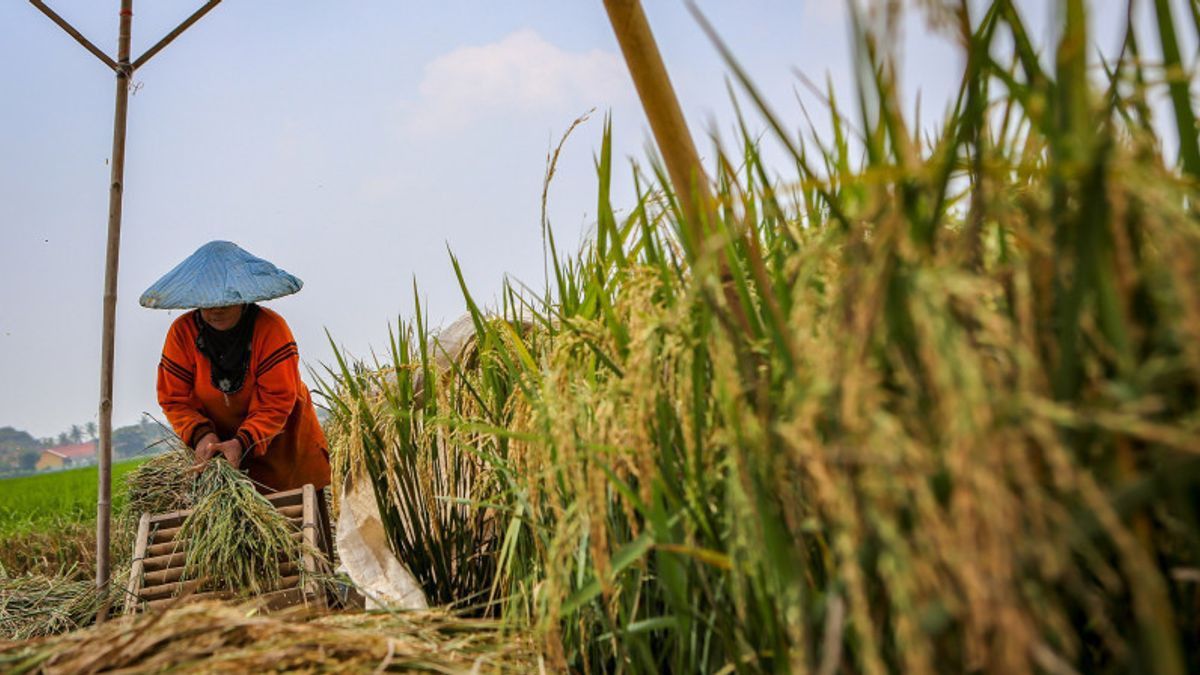 Indonesia harus Terus Memperkuat Ketahanan Pangan untuk Hadapi Krisis Global 