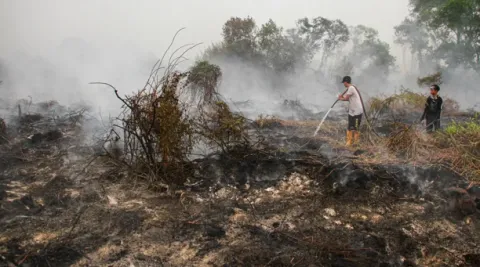 Prabowo Gelontorkan Rp2 Miliar untuk 200 Sumur Bor, Kirim 200 Pompa Air Atasi Karhutla