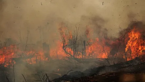 Kabut Asap Karhutla Masih Selimuti Palangka Raya, Udara Berbahaya