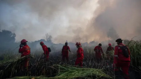 Relawan Karhutla Sumsel 15 Hari Padamkan Api, Honor Rp150 Ribu per Hari Tak Kunjung Cair