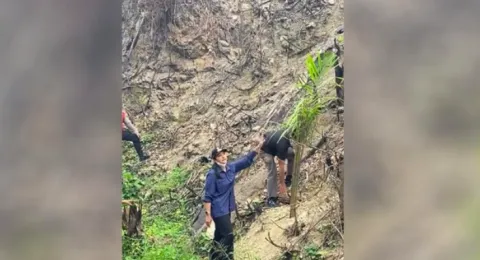 Bekas Karhutla di Sumbar Malah Ditanami Sawit, Bupati Dharmasraya Turun Tangan