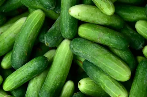 7 Sayuran Murah yang Kaya Manfaat, dari Melancarkan Pencernaan hingga Menjaga Berat Badan