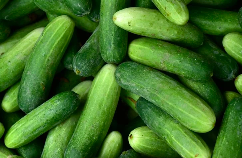 7 Sayuran Murah yang Kaya Manfaat, dari Melancarkan Pencernaan hingga Menjaga Berat Badan