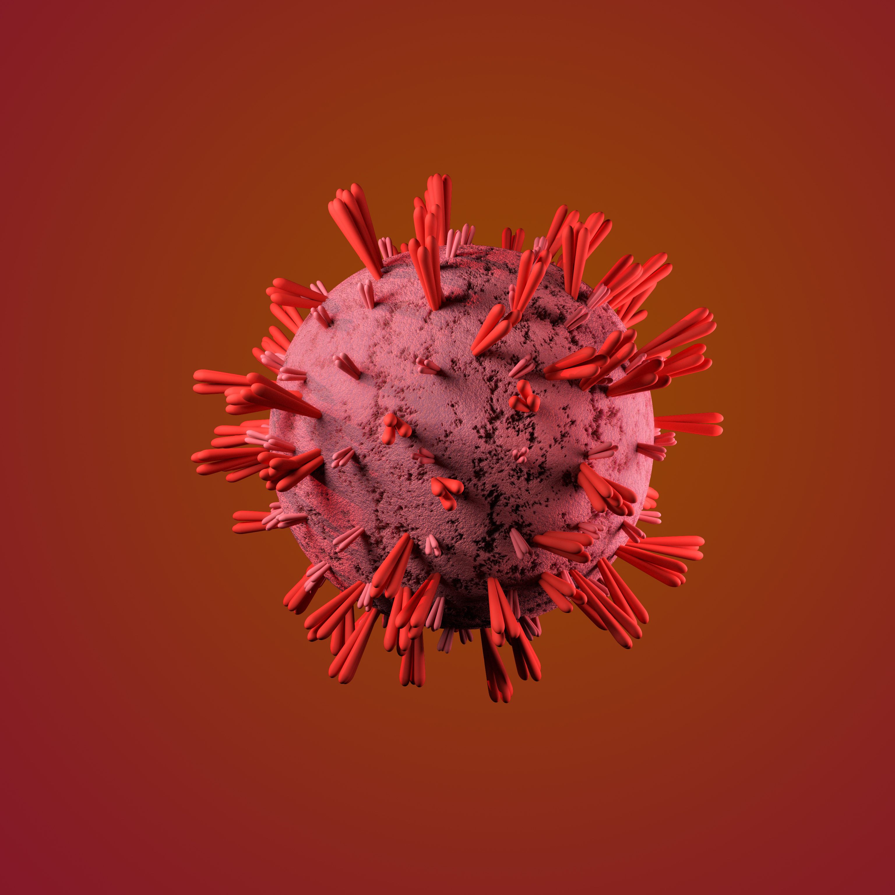 Virus Shamonda Terdeteksi pada Manusia di Perancis, Ini Fakta Penularan dan Gejalanya