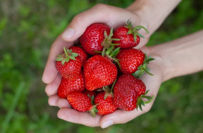 10 Buah yang Bantu Rawat Kulit dari Dalam, Ada Pepaya hingga Strawberry