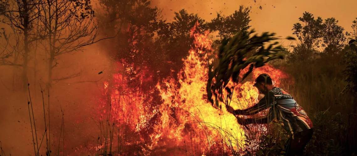 Krisis Asap Kebakaran Hutan Indonesia Telan 3.560 Korban Jiwa dalam Sebulan, Pemerintah Dikritik Kurang Siap