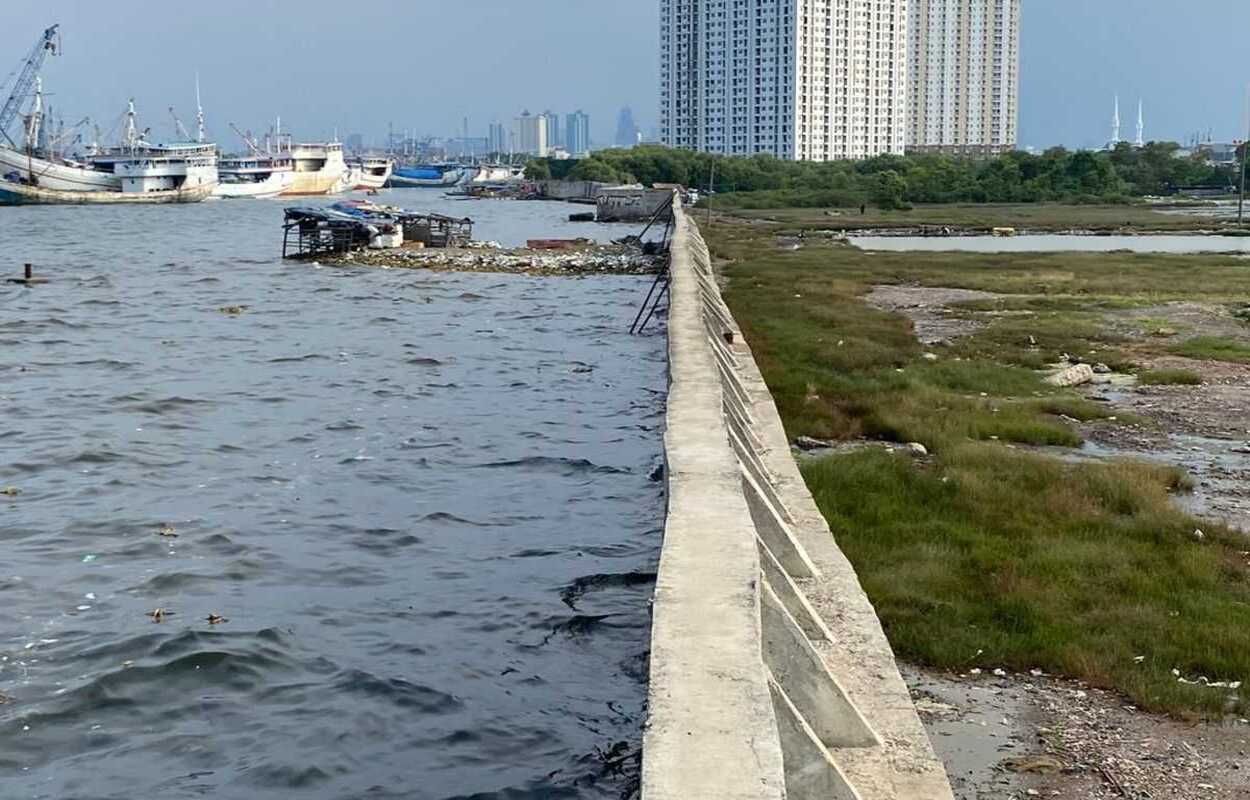 Dari Jakarta hingga Gresik, Proyek Giant Sea Wall Sepanjang 946 KM Siap Dibangun